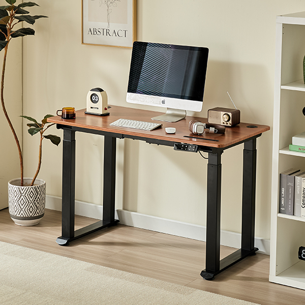 4 Leg Electric Standing Desk