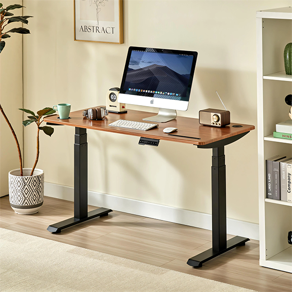 Electric Standing Desk